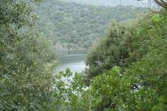 P1010801